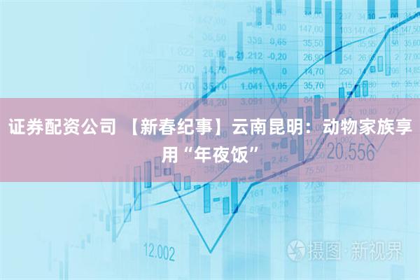 证券配资公司 【新春纪事】云南昆明：动物家族享用“年夜饭”